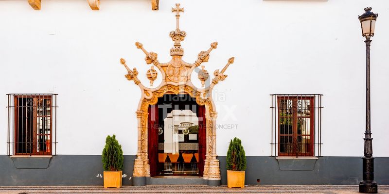 Foto 5a8c3a11-98ac-4234-a46c-8a33db4aafd0. Pis a Olivenza