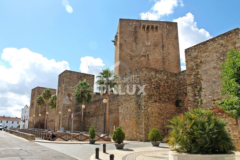 Foto f729d433-3859-4f26-9a11-c0a14beadf0a. Pis a Olivenza