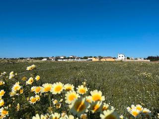 Landgut en Carril de la viga 9. Parcela en conil de la frontera