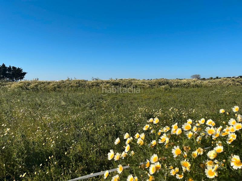 Foto 2a371027-4882-4baa-b610-95e1ff629cb2. Finca rústica en carril de la vigía 9 parcela en Barrio Nuevo Conil de la Frontera