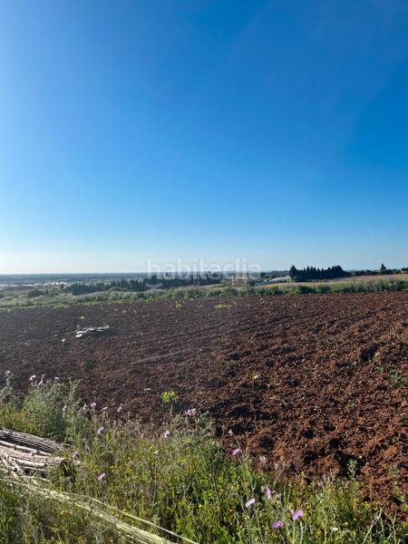 Foto 6c9161c5-4411-4944-a715-513172c15c98. Finca rústica en carril de la vigía 9 parcela en Barrio Nuevo Conil de la Frontera