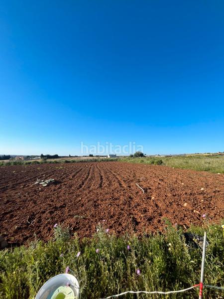 Foto b9bf767f-a94d-4c0a-8107-0d866828f5dd. Finca rústica en carril de la vigía 9 parcela en Barrio Nuevo Conil de la Frontera