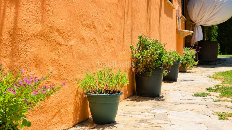 Foto 563a0898-f71a-4480-b704-4eca04655f9a. Casa a Jimena de la Frontera