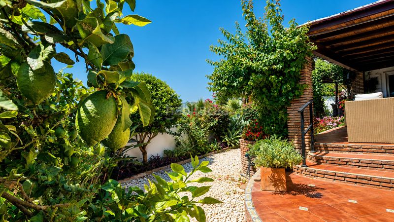 Foto 44ced926-3d90-4caf-88e8-9ab5b43353ee. Casa amb piscina a bahía de Casares Casares