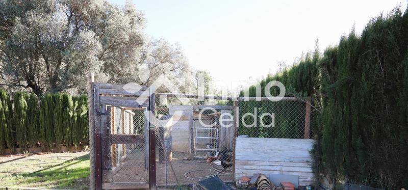 Foto d75aee5f-cf6e-46c6-aa8f-9d7c130d0d51. Maison dans Centro Chiva