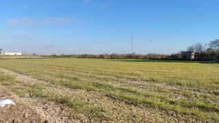 Propriété à Sueca. Sequer granero y campo de arroz