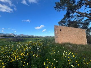 Landgut in Santa María del Camí. Terreno edificable en santa maría del camí