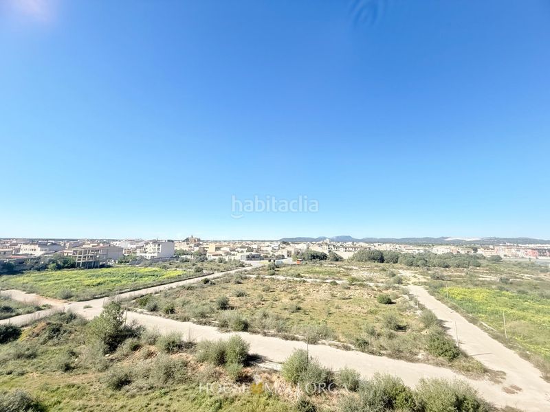 Foto 612cc53a-0fb0-4224-bbaa-035b193f8e92. Àtic a Campos poble Campos