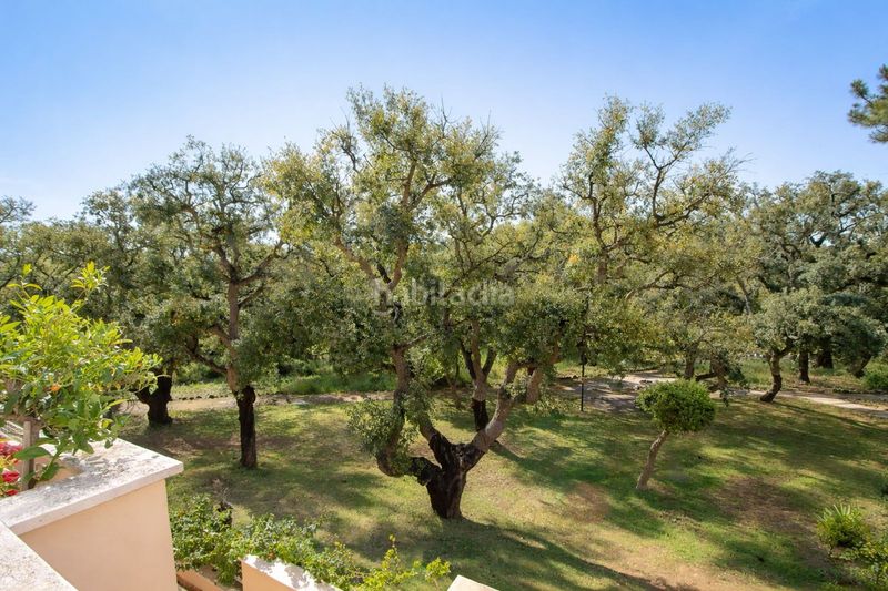 Foto 857441d7-94dd-4bde-9f12-417fcab546bd. Apartament amb aparcament a Elviria Marbella