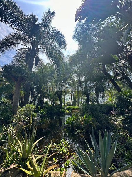 Foto 60032442-2191-4a3b-9822-4e5abe1aa965. Apartament a reserva de Marbella Marbella