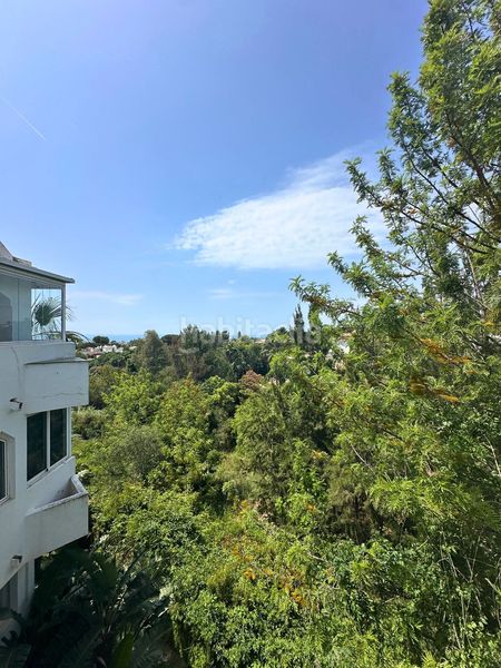 Foto a096f34b-4ad4-4bbe-950c-ebe71e464dfa. Apartament a reserva de Marbella Marbella