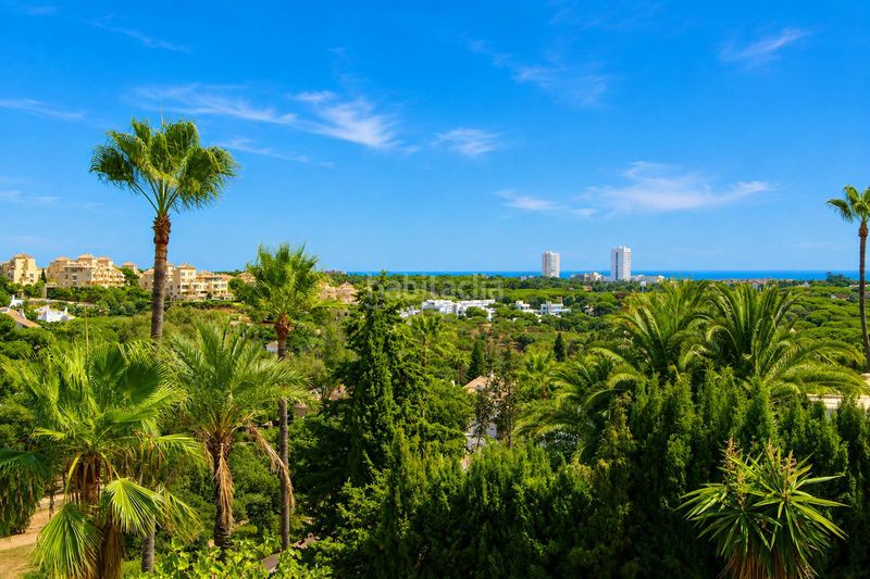 Foto fc82f908-ad25-422b-8dc0-5e5f687a295b. Casa amb piscina a Elviria Marbella