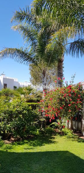 Foto 2dd08518-86d2-4a3c-9b09-91eb0c4c64c4. Casa amb piscina a Los Llanos Estepona