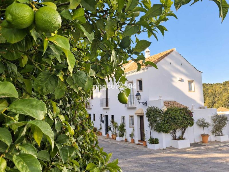 Foto b4238ebe-9679-495b-b5b3-5a5ec2274c99. Casa a Los Naranjos Marbella