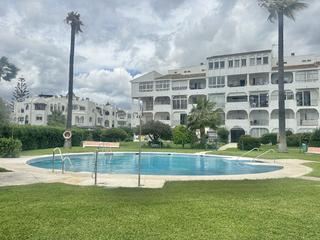 Estudi a Calahonda