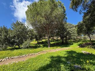 Terreny residencial a Casares pueblo