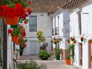 Casa adossada a Centro