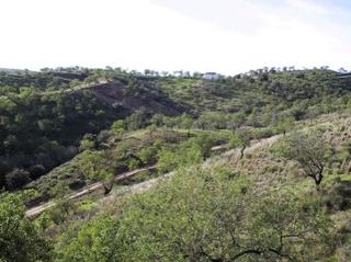 Terreno residenziale in Monda