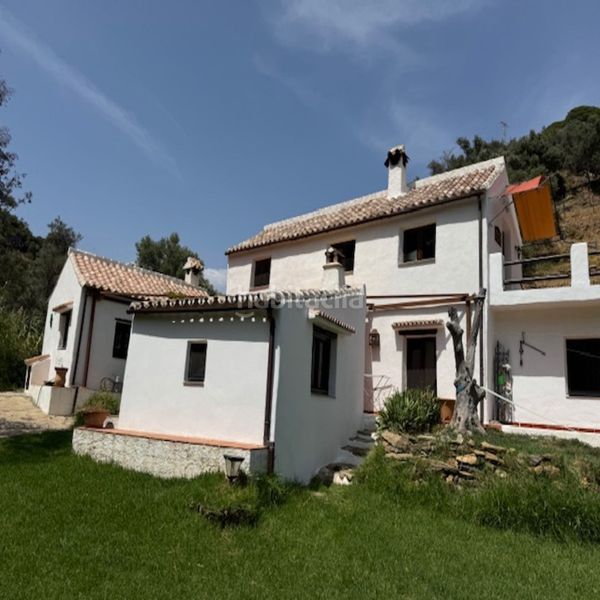 Foto 0b68ebcd-4189-461d-a88c-16155fae072b. Wohngrundstück in Casares pueblo Casares