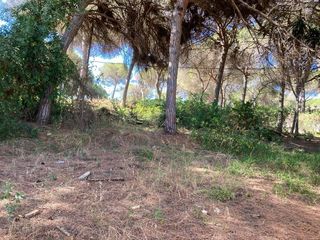 Terreno residenziale in Marbesa