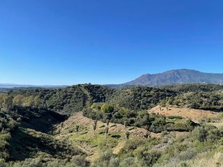 Residential Plot in Zona Calvario