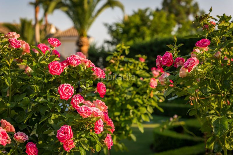 Foto c77931c6-bf99-4c1a-804b-b50655aa07ac. Casa en Hacienda Las Chapas Marbella