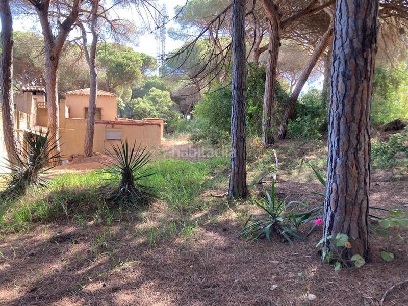 Foto 40da0eff-2dad-48a0-83e3-9221a651676e. Terreno residencial en Marbesa Marbella