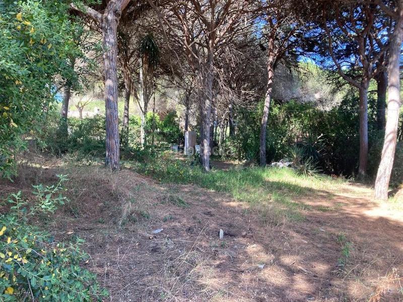 Foto 422bd1c8-2f1c-435f-8d2d-492e03e9fd67. Terreno residencial en Marbesa Marbella