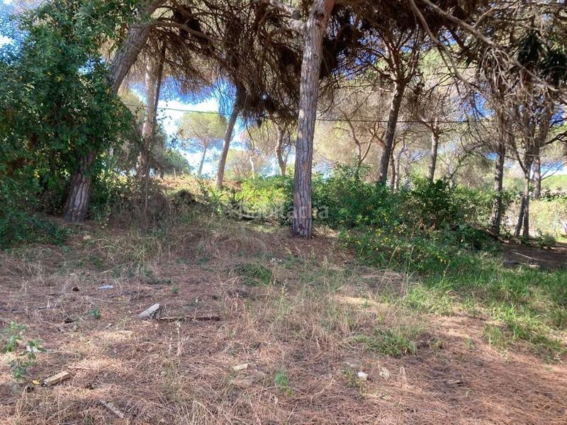 Foto 51b7af8a-28ce-4547-82dc-2303862040ac. Terreno residencial en Marbesa Marbella