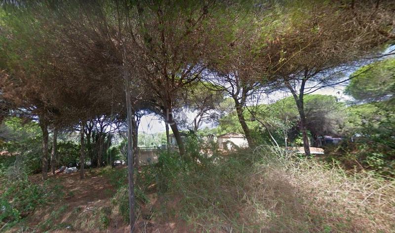 Foto 8d222367-a570-4b5d-9980-7347ce6591ed. Terreno residencial en Marbesa Marbella