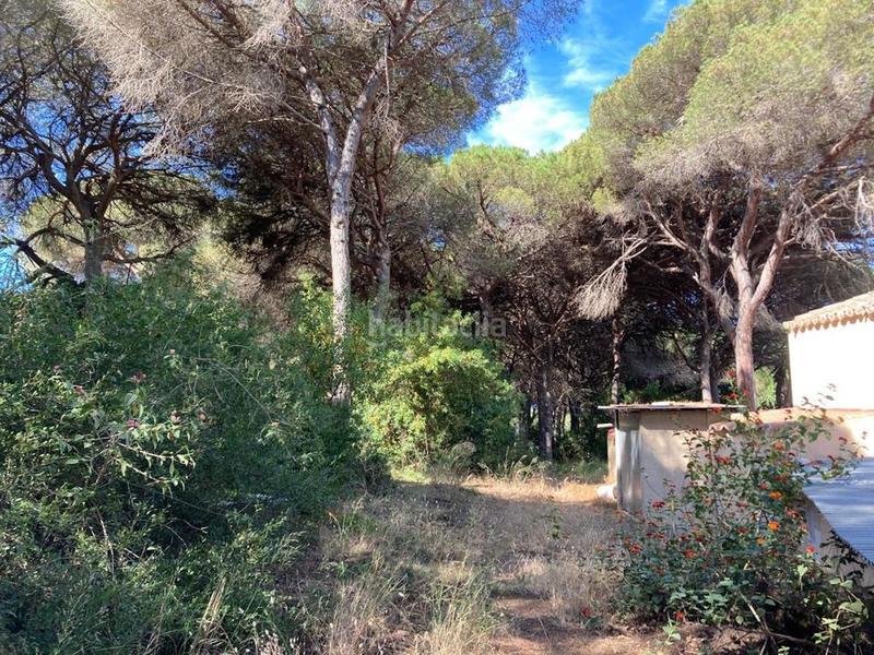 Foto f99fde98-6646-49a1-a82b-0b2b53e0c198. Terreno residencial en Marbesa Marbella
