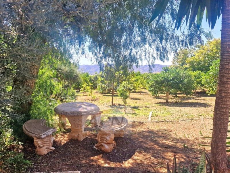 Foto 2e4605bd-31fd-47b0-acd6-937e3a20581f. Masia a Álora