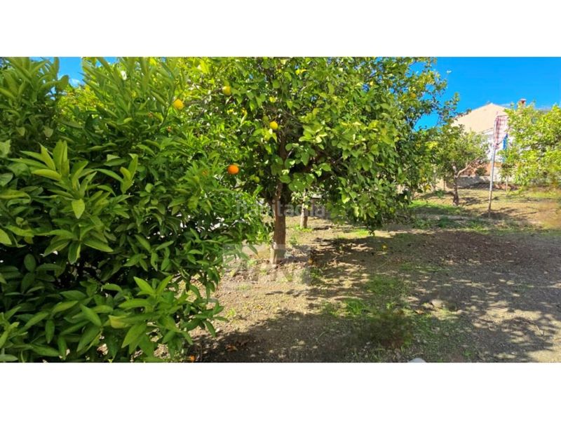 Foto ff8dc54a-2019-4774-b737-f7de03a56061. Masia a Álora