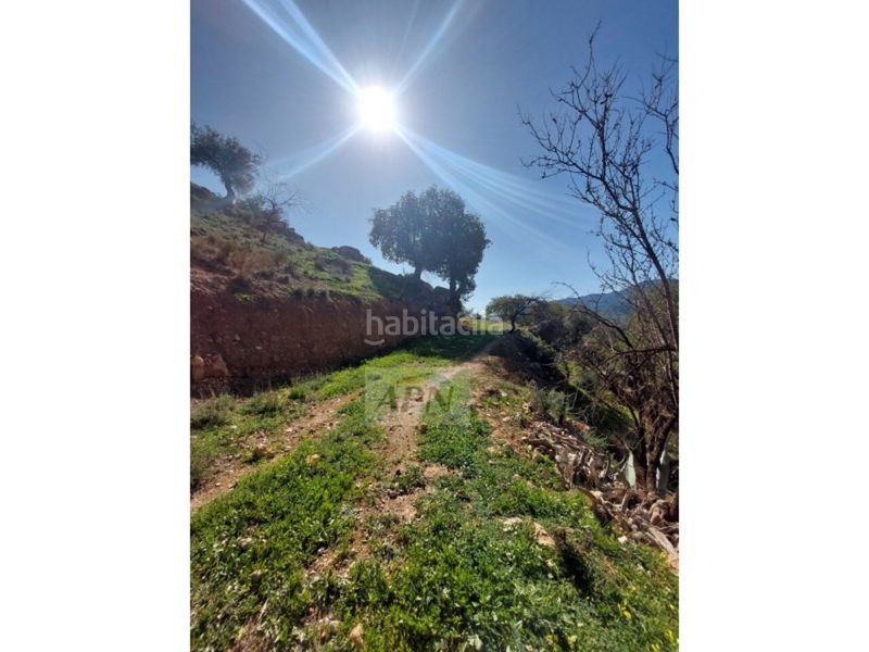 Foto 22685771-5a52-493b-8dd2-b6ae15802bdd. Masia a Álora