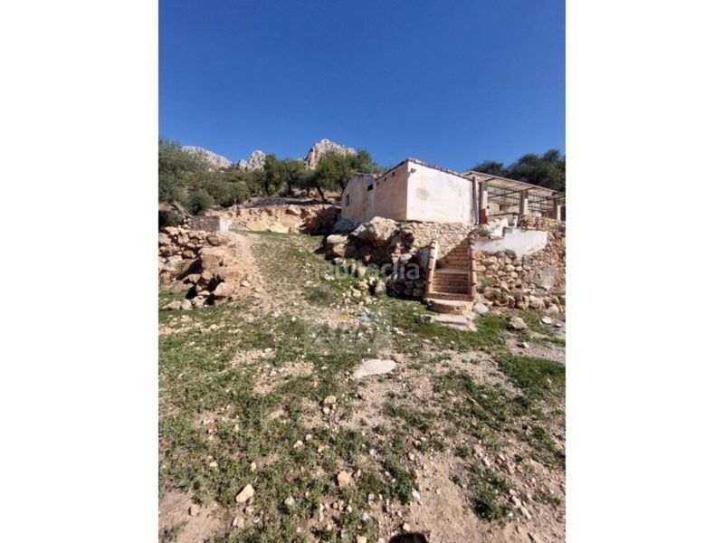 Foto 32aea284-571a-4e1c-a17b-bd6bef4fdcc8. Masia a Álora