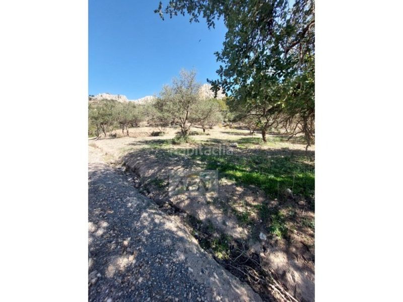 Foto 500e193c-4ae9-4ef4-94c0-0f8b1202b9f0. Masia a Álora