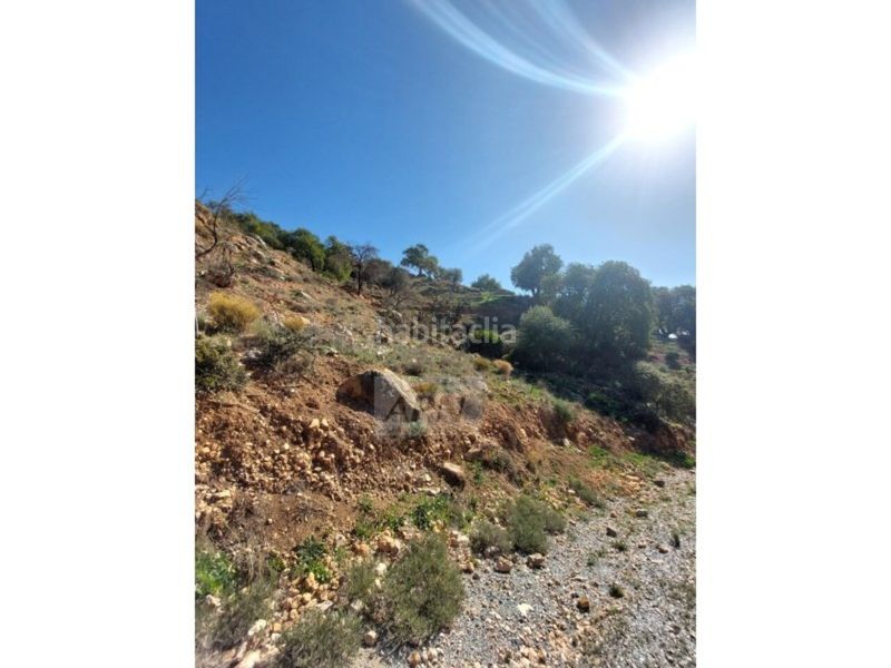 Foto 59ad4c80-b710-4083-9501-4224289dc3ae. Masia a Álora