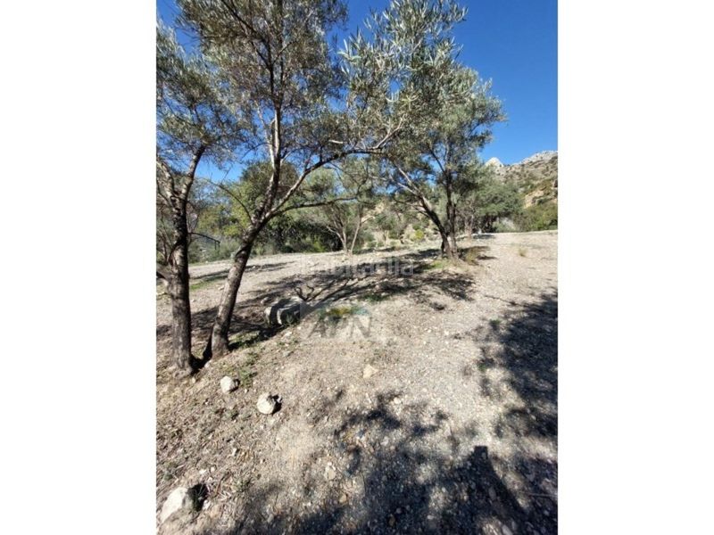 Foto 60c71778-3808-41b5-b671-2eb432200082. Masia a Álora