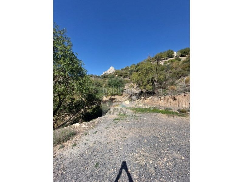 Foto 7de457dd-f07e-4e3c-b0ee-642150316921. Masia a Álora