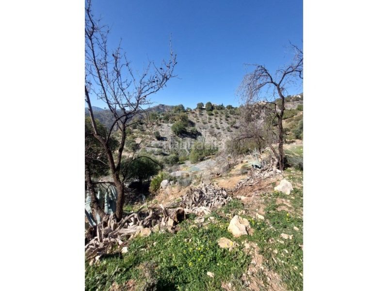 Foto 86146355-c13f-4170-b94a-1487d2b0afed. Masia a Álora