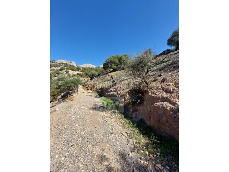 Foto a0833ef3-43df-423e-beba-c4e90cdc4288. Masia a Álora