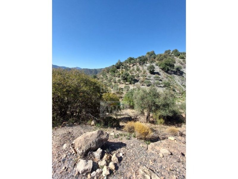 Foto b110c6af-b7ed-472f-b0ea-c76f662237c2. Masia a Álora