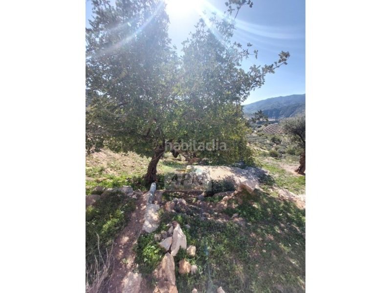 Foto c0b752f5-e04c-48eb-8770-1d3824c41e88. Masia a Álora