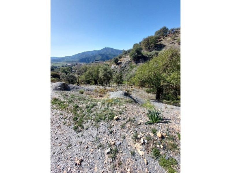 Foto d381d46e-3e00-4d66-91ba-74bf9ccd253b. Masia a Álora