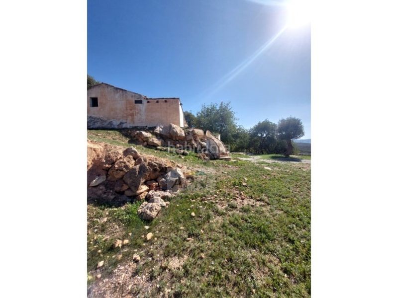 Foto d3d80285-3191-4ae4-8dba-b91b49df4a82. Masia a Álora