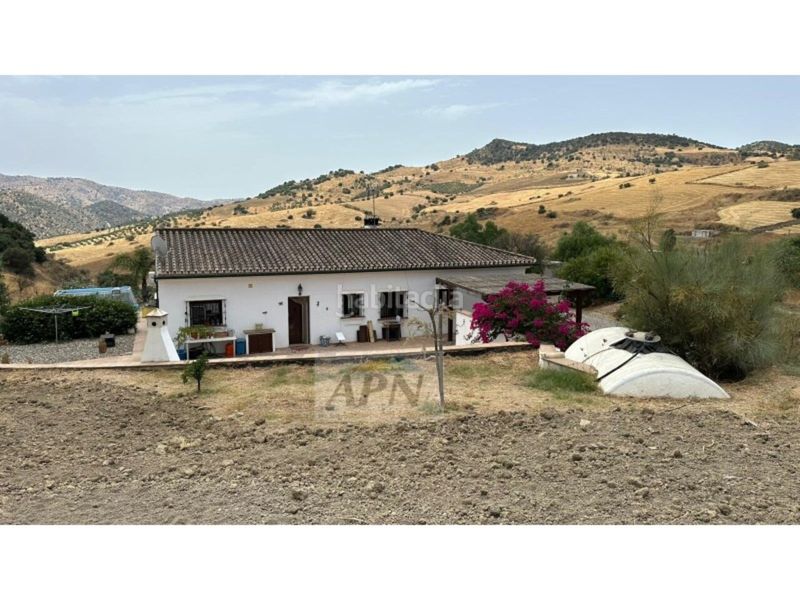 Foto d72ef3ac-2156-4074-81e4-49dc8f1440b8. Masia a Álora
