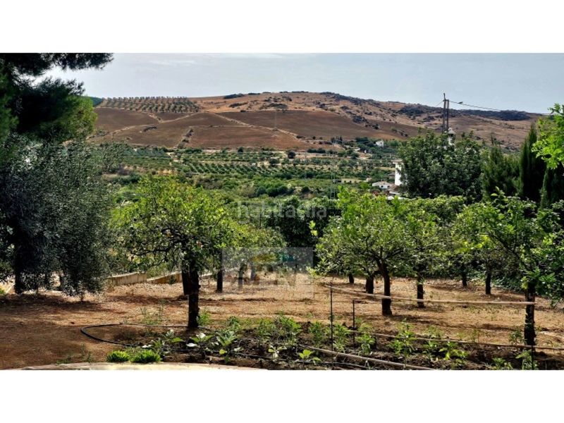 Foto 328a21c3-9337-41f5-a869-f8d05cf7657e. Masia a Álora
