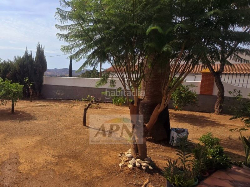 Foto 49c70769-59b7-4fd4-b45c-3d9bc066f265. Masia a Álora