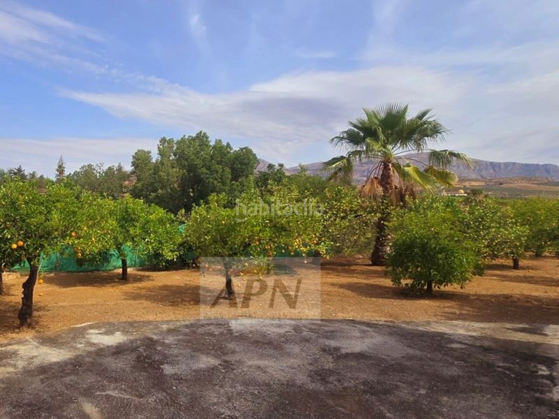Foto 6029ca90-5682-45a5-bc1d-4cc9a961736a. Masia a Álora