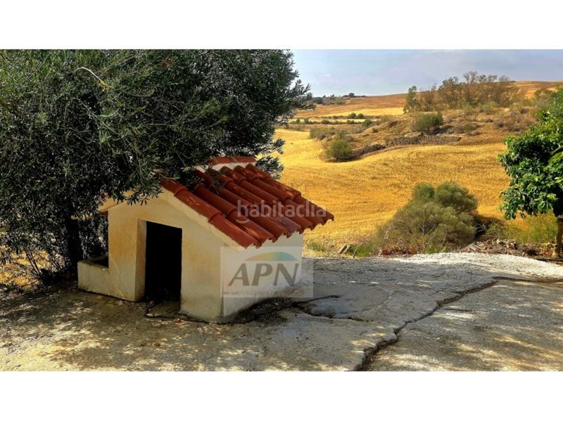 Foto 0126fc99-2c3d-4b22-8730-077c0fcbbf35. Masia a Álora